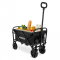Chariot Compact – Pliable – 60 kg – 50 L | Noir